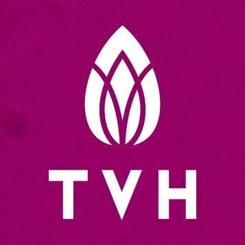 TVH builders